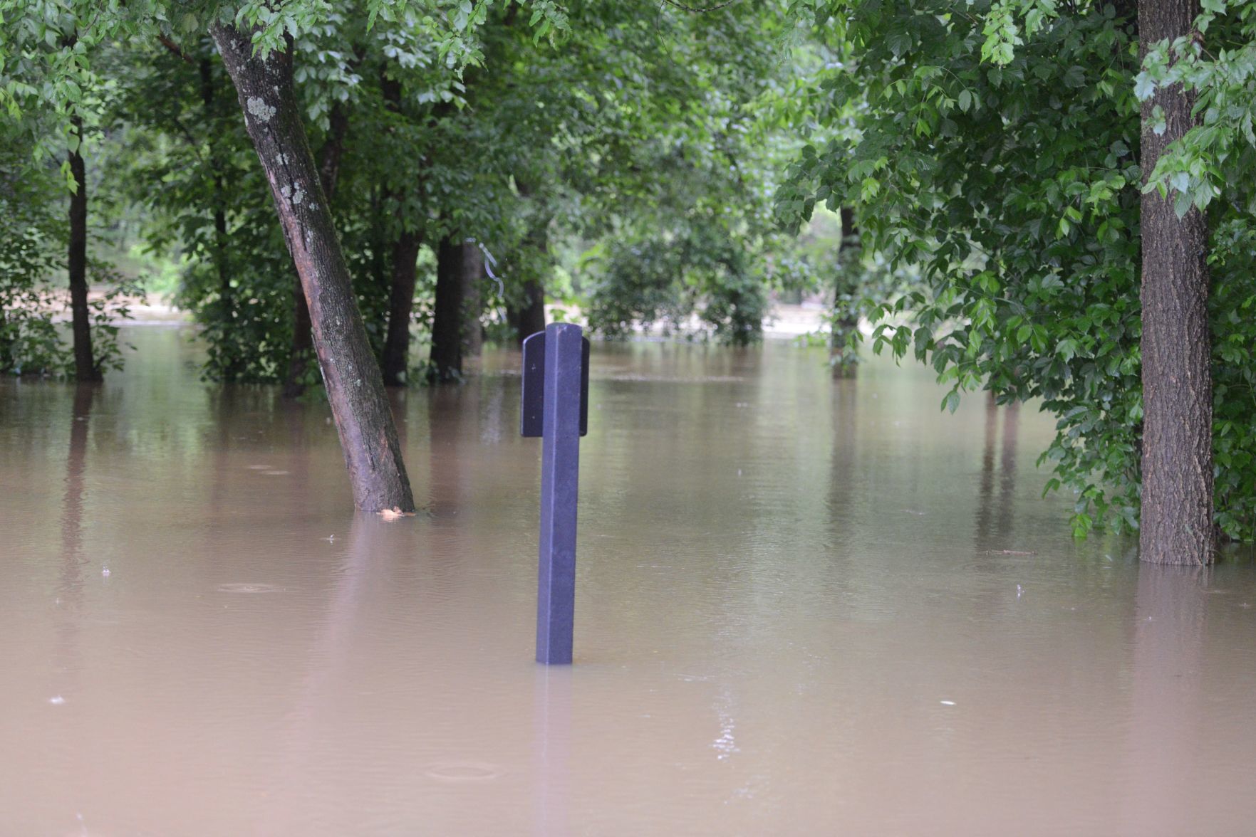 Flood 1.jpg
